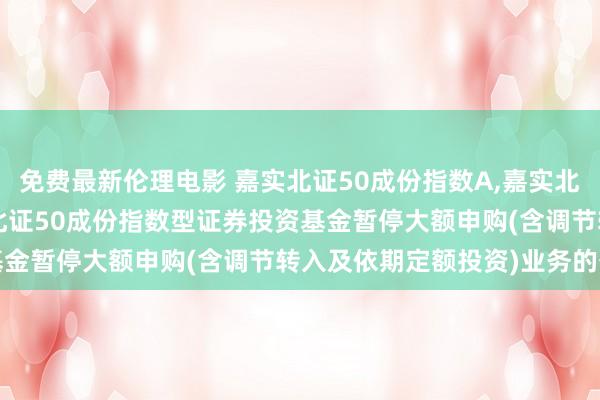 免费最新伦理电影 嘉实北证50成份指数A,嘉实北证50成份指数C: 嘉实北证50成份指数型证券投资基金暂停大额申购(含调节转入及依期定额投资)业务的公告