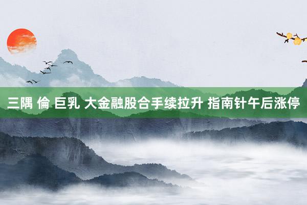 三隅 倫 巨乳 大金融股合手续拉升 指南针午后涨停