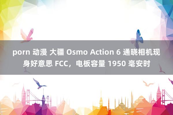 porn 动漫 大疆 Osmo Action 6 通晓相机现身好意思 FCC，电板容量 1950 毫安时