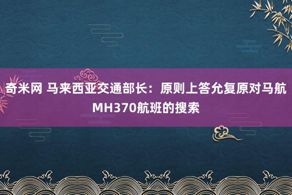 奇米网 马来西亚交通部长:原则上答允复原对马航MH370航班的搜索