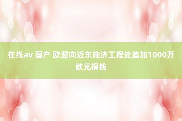 在线av 国产 欧盟向近东施济工程处追加1000万欧元捐钱