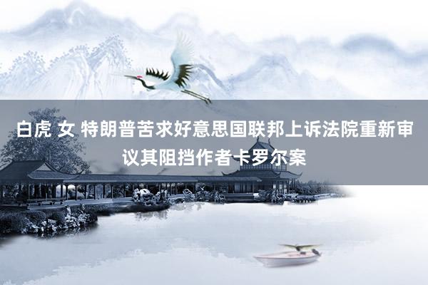 白虎 女 特朗普苦求好意思国联邦上诉法院重新审议其阻挡作者卡罗尔案