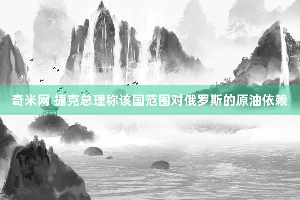 奇米网 捷克总理称该国范围对俄罗斯的原油依赖