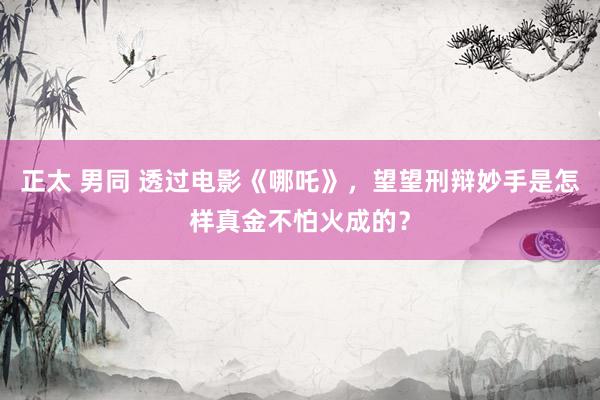 正太 男同 透过电影《哪吒》，望望刑辩妙手是怎样真金不怕火成的？
