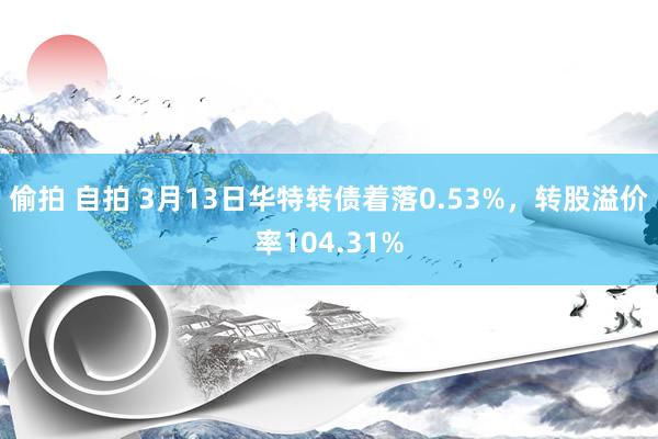 偷拍 自拍 3月13日华特转债着落0.53%，转股溢价率104.31%