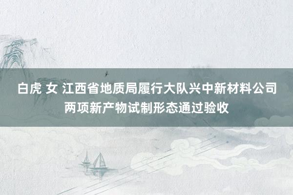 白虎 女 江西省地质局履行大队兴中新材料公司两项新产物试制形态通过验收