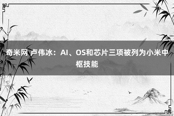 奇米网 卢伟冰：AI、OS和芯片三项被列为小米中枢技能