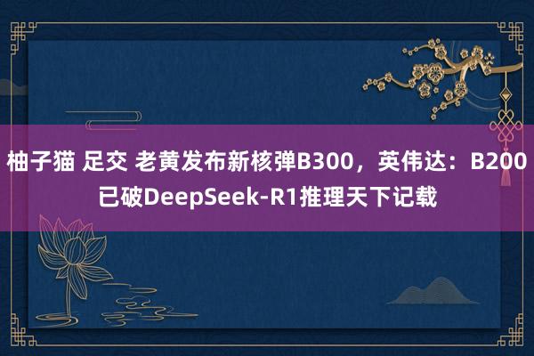 柚子猫 足交 老黄发布新核弹B300，英伟达：B200已破DeepSeek-R1推理天下记载