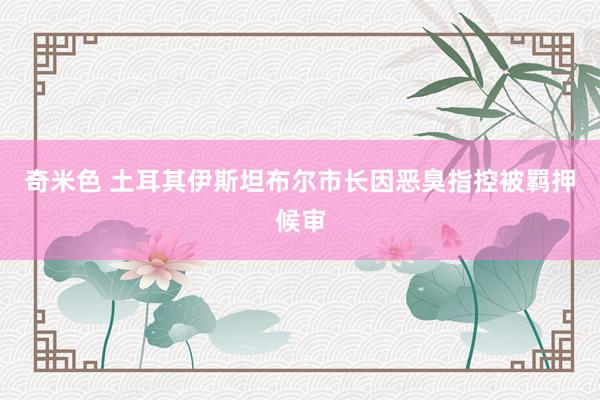 奇米色 土耳其伊斯坦布尔市长因恶臭指控被羁押候审