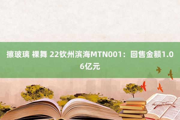 擦玻璃 裸舞 22钦州滨海MTN001：回售金额1.06亿元