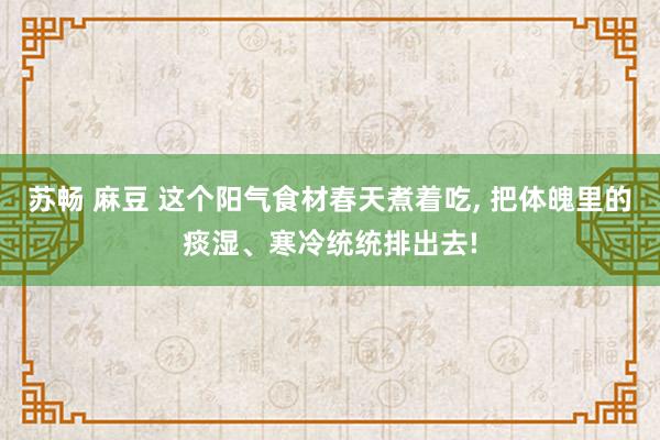 苏畅 麻豆 这个阳气食材春天煮着吃， 把体魄里的痰湿、寒冷统统排出去!