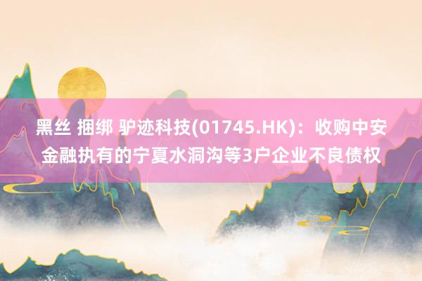 黑丝 捆绑 驴迹科技(01745.HK)：收购中安金融执有的宁夏水洞沟等3户企业不良债权