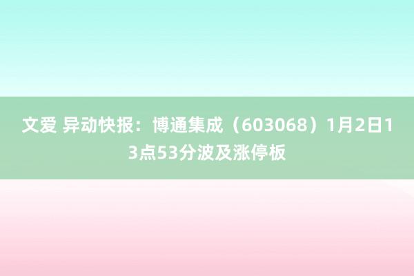 文爱 异动快报：博通集成（603068）1月2日13点53分波及涨停板