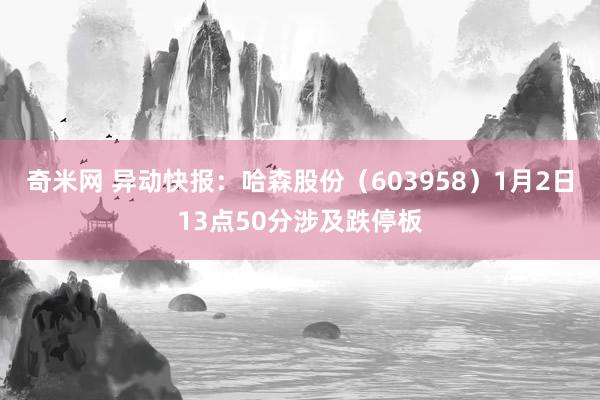 奇米网 异动快报：哈森股份（603958）1月2日13点50分涉及跌停板