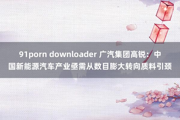 91porn downloader 广汽集团高锐：中国新能源汽车产业亟需从数目膨大转向质料引颈