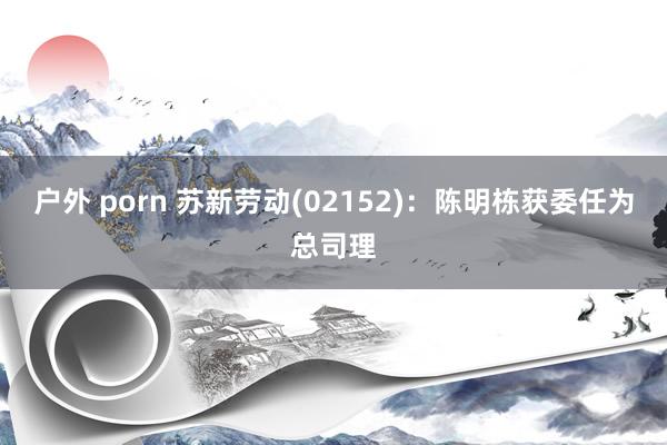 户外 porn 苏新劳动(02152)：陈明栋获委任为总司理