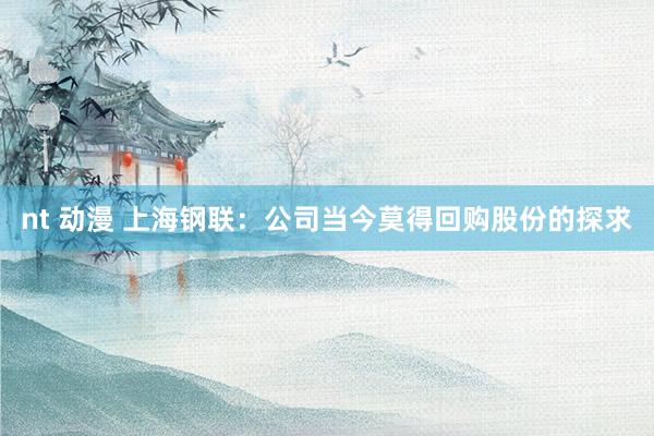 nt 动漫 上海钢联：公司当今莫得回购股份的探求