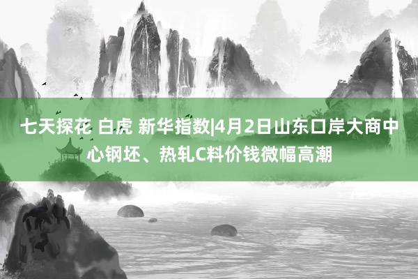 七天探花 白虎 新华指数|4月2日山东口岸大商中心钢坯、热轧C料价钱微幅高潮