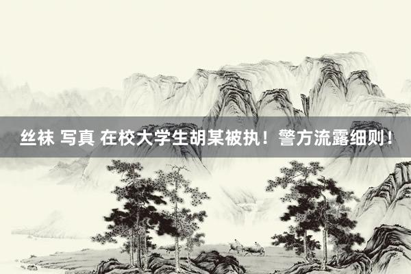 丝袜 写真 在校大学生胡某被执！警方流露细则！