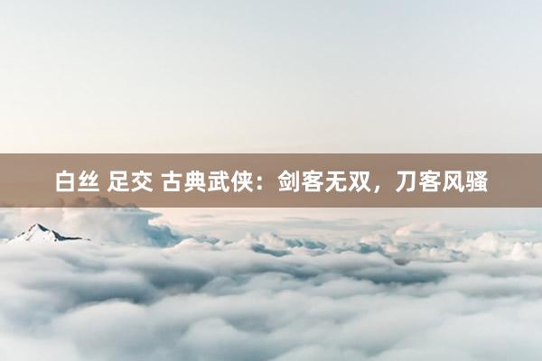 白丝 足交 古典武侠：剑客无双，刀客风骚