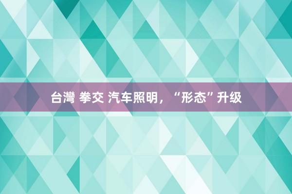 台灣 拳交 汽车照明，“形态”升级