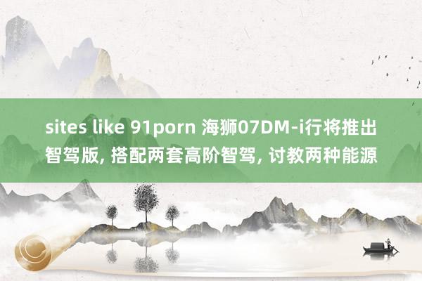 sites like 91porn 海狮07DM-i行将推出智驾版， 搭配两套高阶智驾， 讨教两种能源