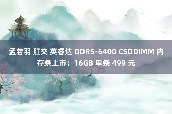 孟若羽 肛交 英睿达 DDR5-6400 CSODIMM 内存条上市：16GB 单条 499 元