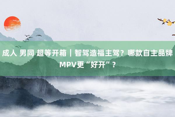 成人 男同 超等开箱｜智驾造福主驾？哪款自主品牌MPV更“好开”？