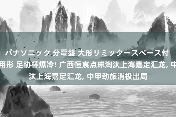 パナソニック 分電盤 大形リミッタースペース付 露出・半埋込両用形 足协杯爆冷! 广西恒宸点球淘汰上海嘉定汇龙， 中甲劲旅消极出局
