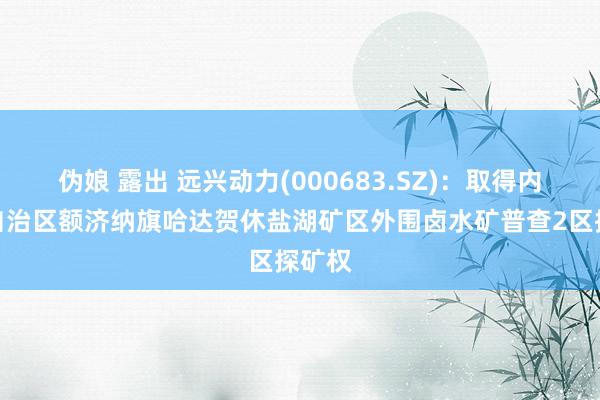 伪娘 露出 远兴动力(000683.SZ)：取得内蒙古自治区额济纳旗哈达贺休盐湖矿区外围卤水矿普查2区探矿权