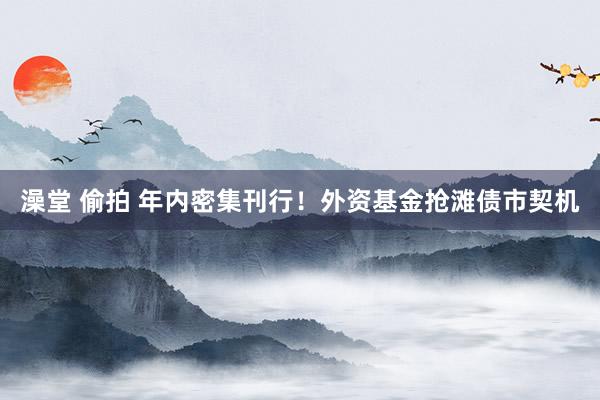 澡堂 偷拍 年内密集刊行！外资基金抢滩债市契机