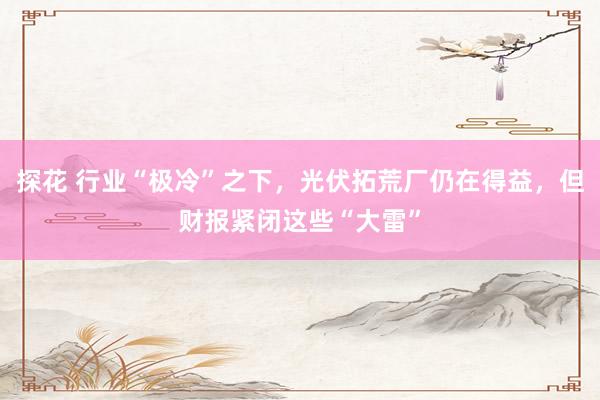 探花 行业“极冷”之下，光伏拓荒厂仍在得益，但财报紧闭这些“大雷”